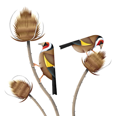 Goldfinches art digital illustration vector