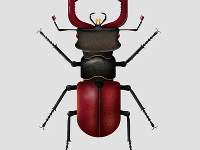 Stag Beetle art digital illustration vector