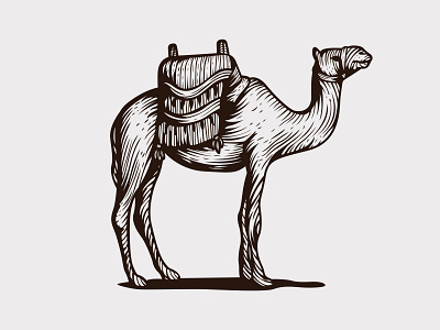 Camel aesthetic branding camel creative design dribbble illustration logo logos vintage