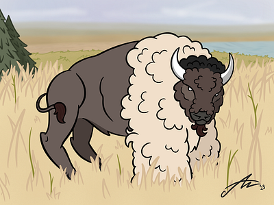 It's a Bison, Not a Buffalo art bison bisonart buffalo cartoon digitalart digitalillustration digitalpainting drawing illustration northamerica procreate