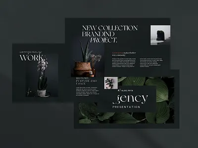 Agency Portfolio PowerPoint Template #3 app branding design graphic design illustration logo typography ui ux vector