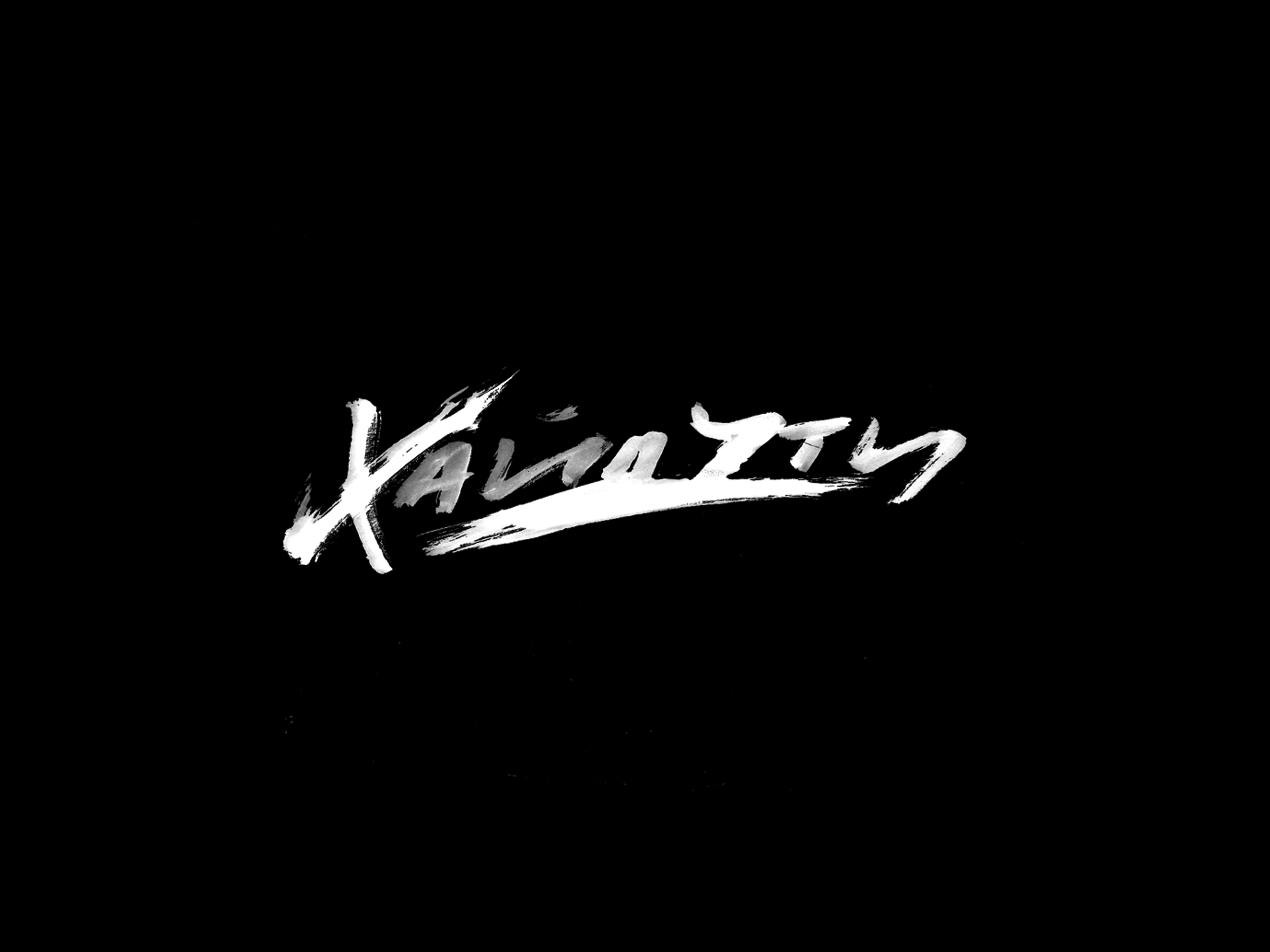 "Хайдути" hand brush typography and cover art design graphic design illustration landig page logo typography