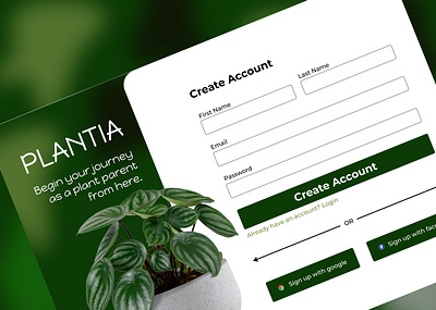 Plantia - Signup page - UI design branding graphic design ui