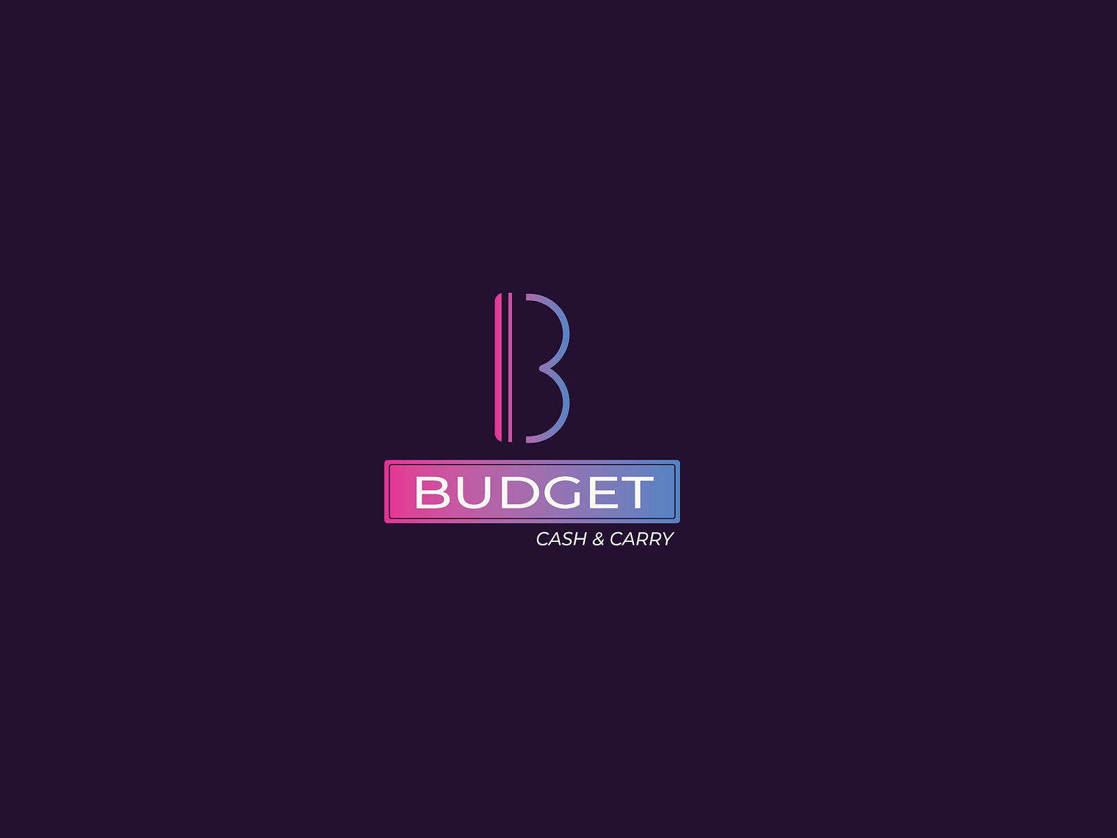 Budget Logo Design by Amir Khan on Dribbble