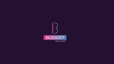 Budget Logo Design branding design illustration logo ux