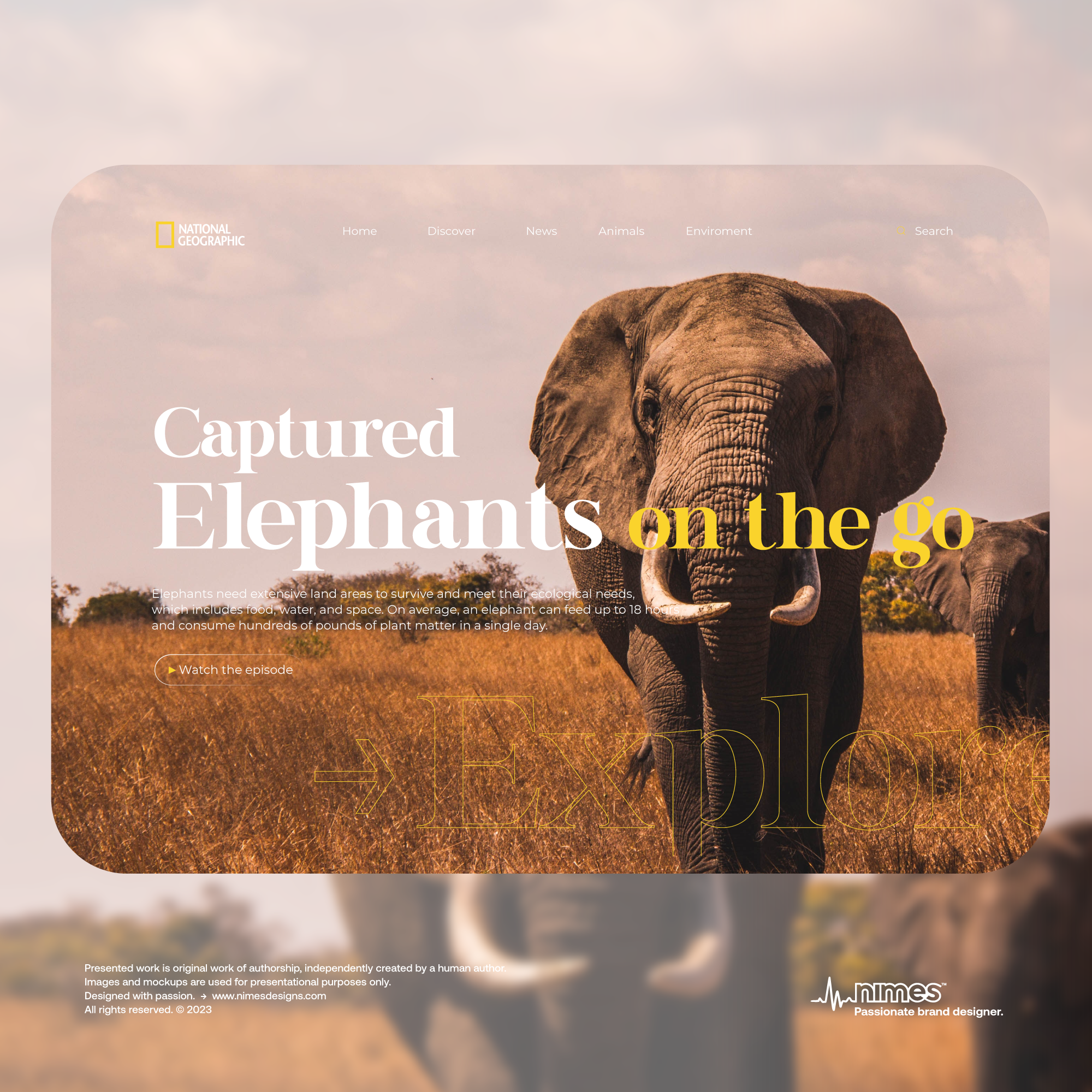 Elephant on the Go - Web design animals landing page ui ui design ui designer userinterface design ux design web design web designer web page