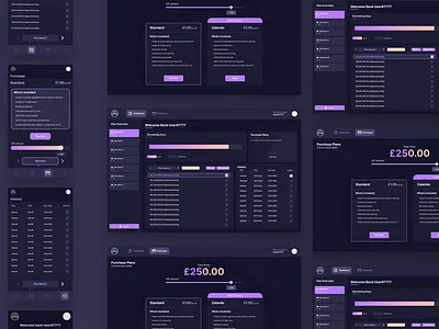 Wild Proxies UI UX graphic design ui ux
