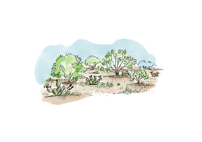 Mesquite Landscape Sketch digital environmental illustration pencil watercolor