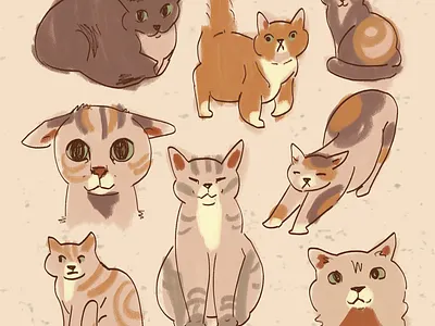 Some silly cats cats collage illustration meow silly