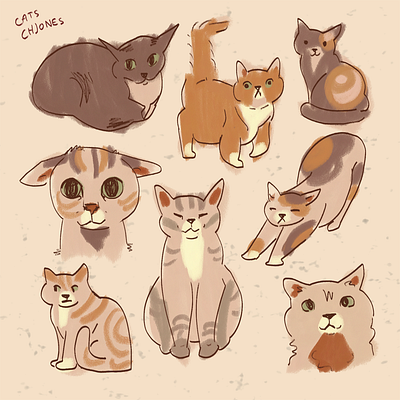 Some silly cats cats collage illustration meow silly