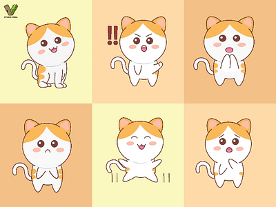 I will animate cute cat animal gif animation and loop animation giphy