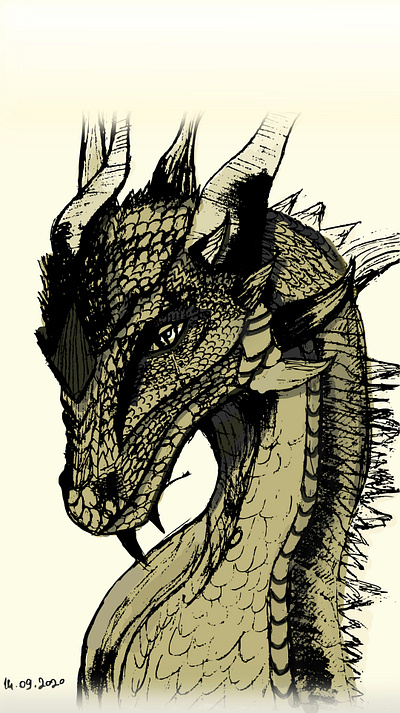 Dragon illustration sketch