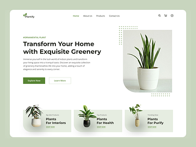 Transform Your Home with Plant branding buy plant design indoor indoor plant plant plant indoor plant website prototyping transform ui user interface userdesing userinterface ux uxdesign visual visual design web design your home