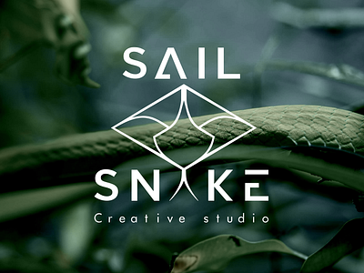 Sailsnake visual identity • Sailsnake branding design graphic design logo sailsnake sounddesign typography visualidentity