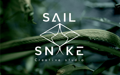 Sailsnake visual identity • Sailsnake branding design graphic design logo sailsnake sounddesign typography visualidentity