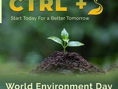 World Environment Day design environmentday graphic design illustration popix ui ux vector