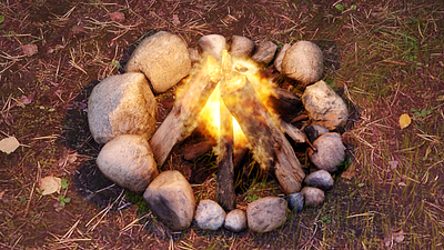 Realistic Campfire 3d animation campfire fire graphic design