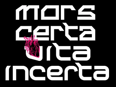 Mors certa, vita incerta design illustration lettering letters type