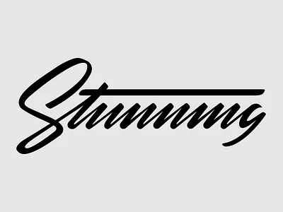 Stunning Lettering art direction branding design graphic design illustration lettering logotype typogaphy typography design