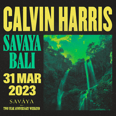 Calvin Harris Bali Show Branding branding design illustration show art