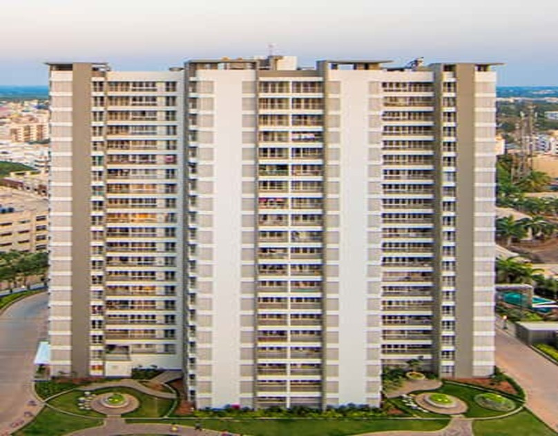 Top Real Estate Builders in Vadodara by Selena Kim on Dribbble