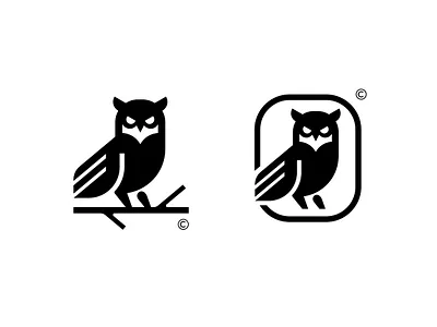 The Night Owls air jordan animal bird branch enclosure jordan league logo mlp nature night nike owl paddle pickleball power sports strong symbol team