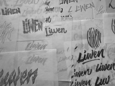 Liwen Concepts concept graphic design hand lettering handmade handstyle process sketch type typography wip
