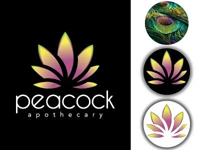 Peacock Apothecary Logo appicon branding creative logo crypto gradient logo grid logo illustration logo logo concept logo design logo designer logo ideas logo inspire logo mark logo room logodaily logoprocess nft symbol thirty logos