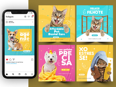 Pet Shop Ads Design Social Media Post Template cat lover cats dog lover gatos grooming lovely petinstagram petshop petshoponline petshops petstore puppy lover veterinaria
