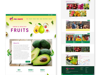 PKC Fruits brand branding codeappan design elementor fruits graphicdesign products list simpledesign ui ux uxui web webdesign webdevelopment website websitedesign websitework wordpress