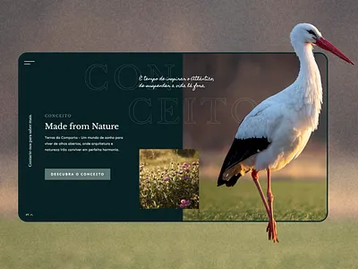 Terras da Comporta app branding design illustration logo ui ux web website