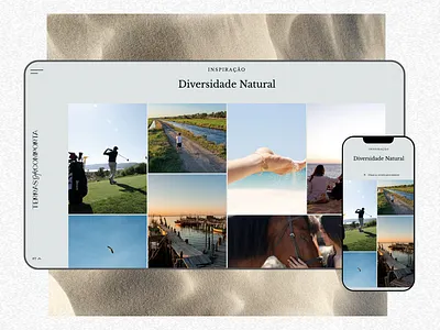 Terras da Comporta app branding design flat illustration logo ui ux web website
