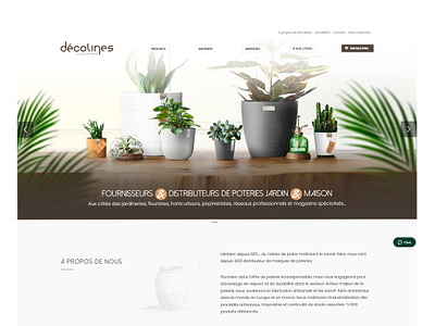 Decolines - Website / UI UX Design design ui ux