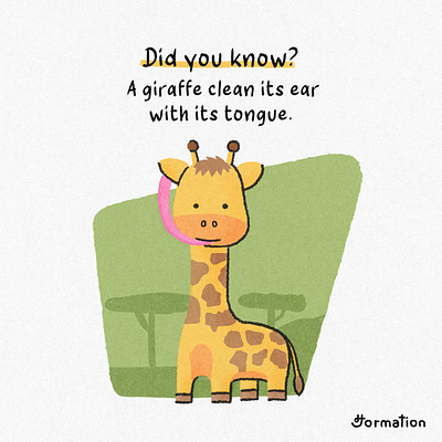 A giraffe clean its ear with its tongue animal did you know digital art digital illustration fact of the day fun fact giraffe illustration