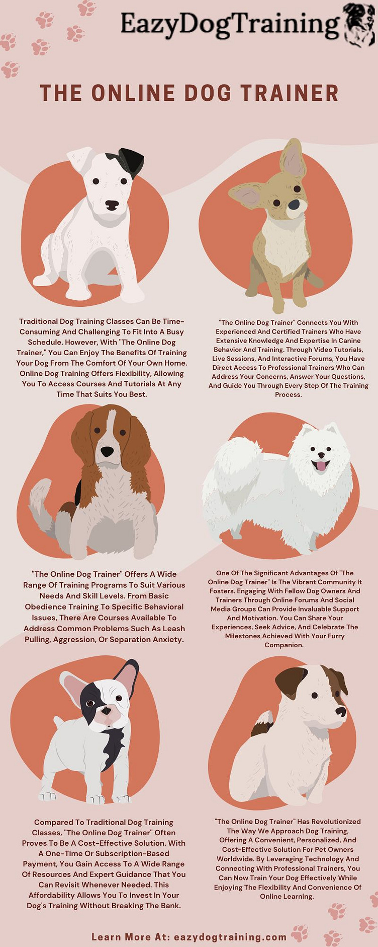 Puppy School Western Sydney by Eazy Dog Training on Dribbble