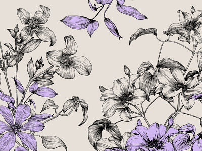 Hand drawn twigs of clematis flowers. Graphics illustration. blooming botanical botany branding clematis design drawing element flowers graphic design graphics hand drawn illustration line art nature plant purpure flower realistic illustration sketch vector