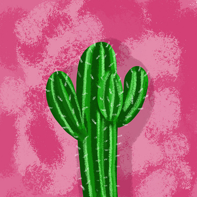 Cactus illustration