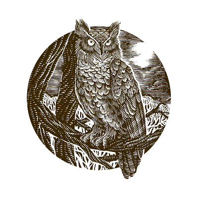 Owl design engrave engraving illustration ink lineart strokes woodcut