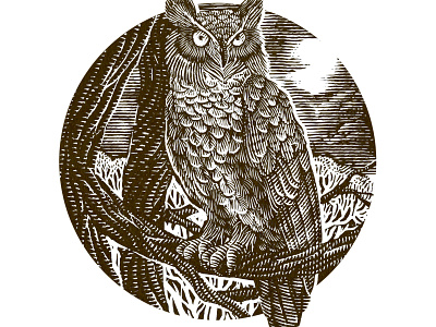 Owl design engrave engraving illustration ink lineart strokes woodcut