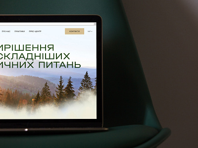Alarius branding business design figma graphic design interface logo ui we web