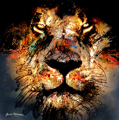 Lion dans la nuit