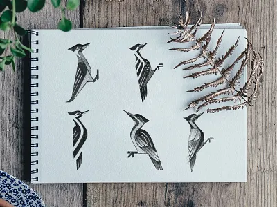 Woodpecker abstract birds brand designer brand identity branding creative design process emblem geometric hand drawn illustration logo logo designer logo process logomark sign sketch sketches symbol woodpecker