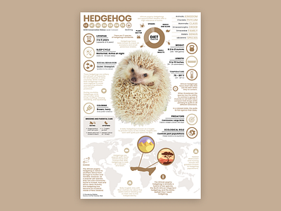 Hedgehog Poster animal illustration education hedgehog hedgehog art hedgehog illustration hedgehog poster