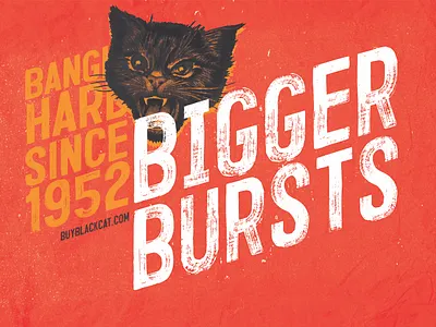 Black Cat Fireworks black cat design fireworks graphic design typography