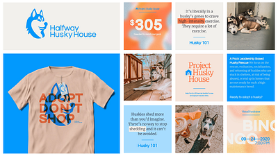 Halfway Husky House Branding + Social branding design graphic design husky logo social
