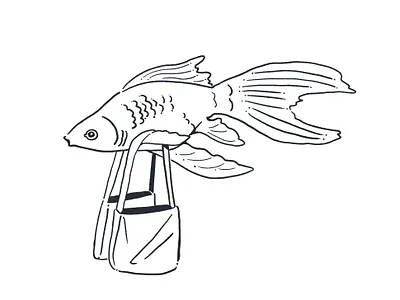 Going to Fish Market branding design drawing fish freehand graphic design illustration logo procreate tote