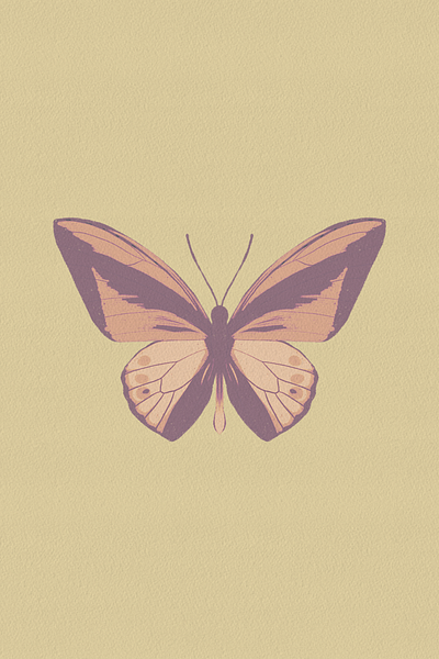 Muted Butterfly Illustration butterfly design illustration nature