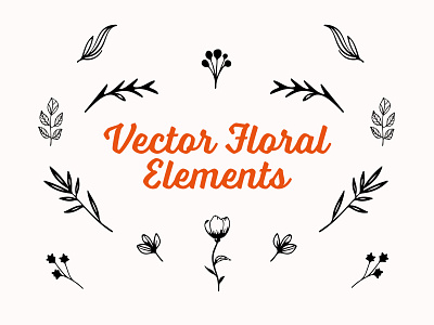 Vector Floral Decorative Elements freebies
