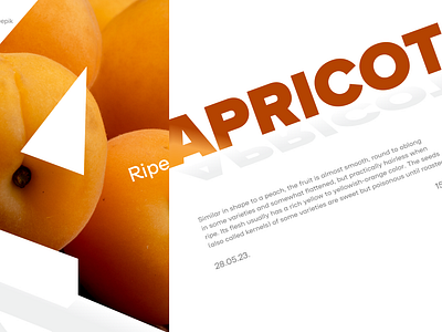 Apricots design