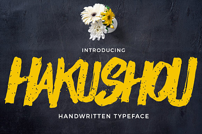 Hakushou app branding design graphic design illustration logo typography ui ux vector
